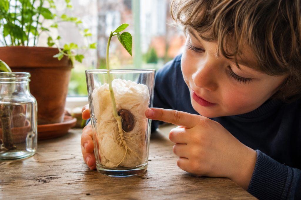Pflanzen-Experimente für Kinder: 10 grüne Wunder chatgpt image 23. mai 2026, 22 59 17 (2)