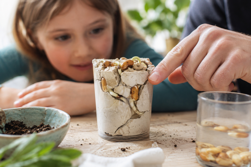 Pflanzen-Experimente für Kinder: 10 grüne Wunder chatgpt image 23. mai 2026, 22 59 18 (6)